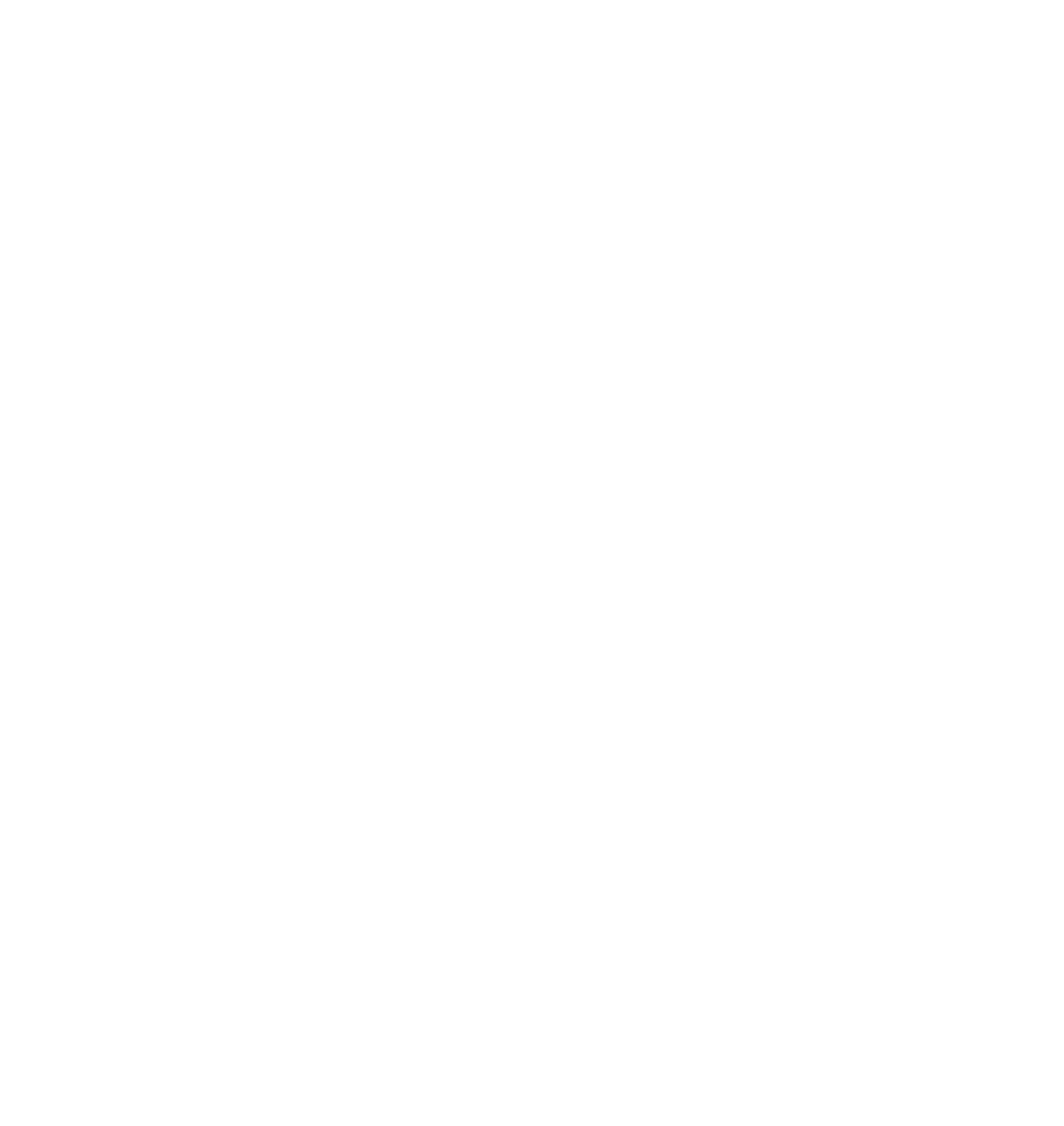 GESI S.A.S.